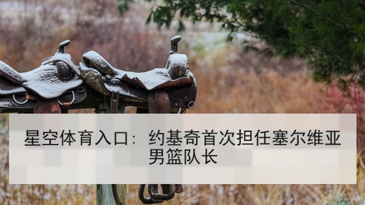 星空体育入口: 约基奇首次担任塞尔维亚男篮队长