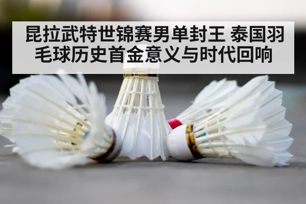 badminton shuttlecock court