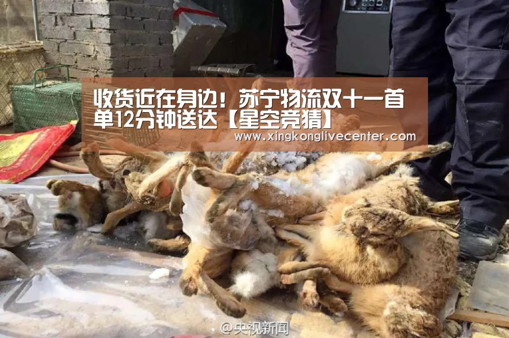 收货近在身边!苏宁物流双十一首单12分钟送达【星空竞猜】(图2) 星空官网